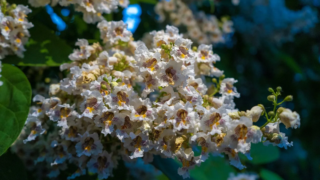 &Eacute;glise ancienne de la r&eacute;gion de Tchernigov